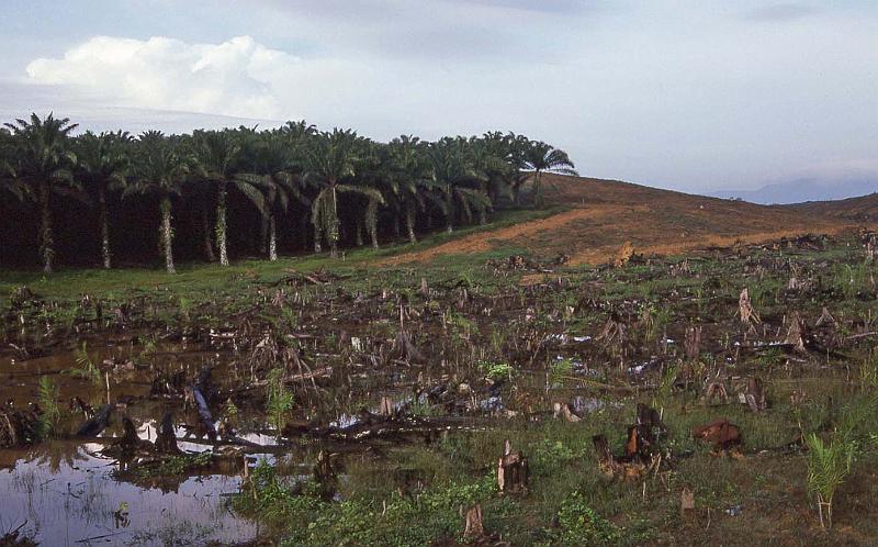 WT 0700 109-14 Malaysia.jpg
